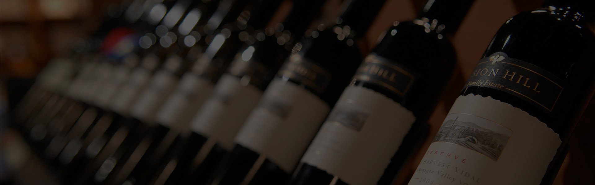 lorem ipsum dolor sit