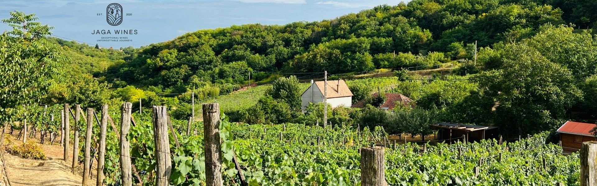 lorem ipsum dolor sit